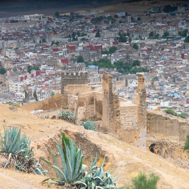 The best of Morocco Tours