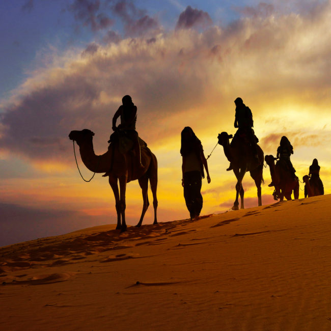 Majestic Morocco Medinas & Palaces 10-Day Small Group Tour
