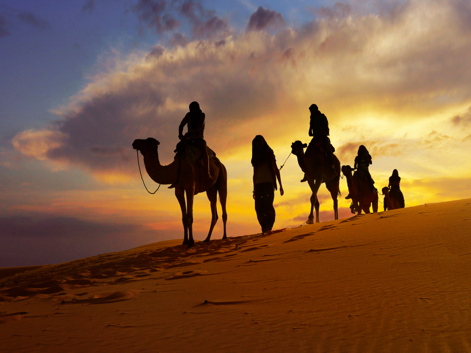 Majestic Morocco Medinas & Palaces 10-Day Small Group Tour