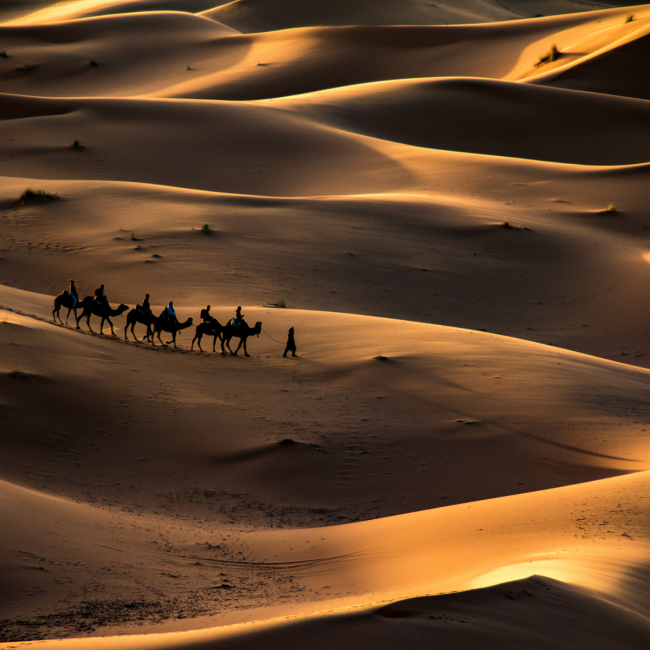 Morocco Signature 8-Day Small-group Tour