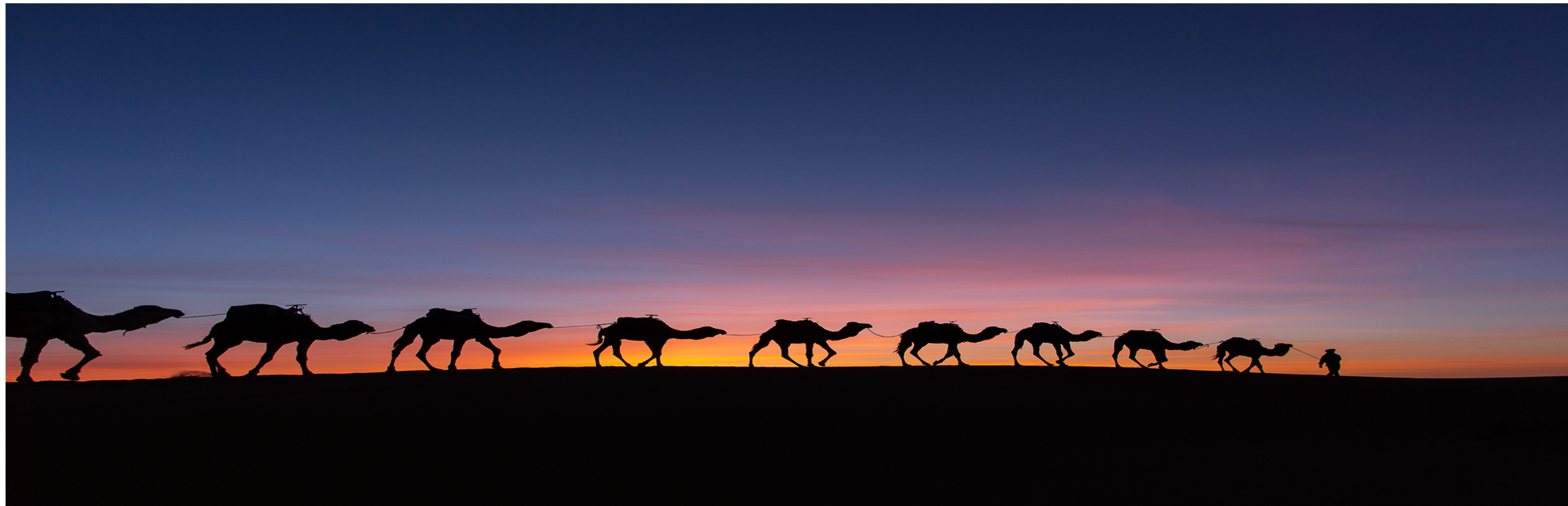 Essential Morocco Kasbahs and Palaces 14-Day Tour - AFC